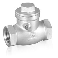 SS 304 Check valve