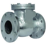 SS 316 Check valve