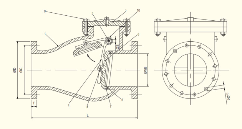 Dairy Non Return Valve