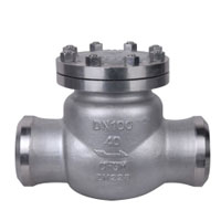 Duplex Steel UNS S32205 Check Valves