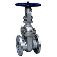 Duplex Steel UNS S32205 Gate Valves