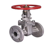 Incoloy 800 Gate Valves