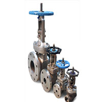 Nickel Alloy 200 Globe Valves