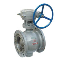 Stainless Steel 317 Segment Ball Valves