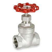 Stainless Steel 316 Gate Valves