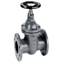 Stainless Steel 317 Gate Valves