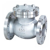 Stainless Steel 321 Check Valves