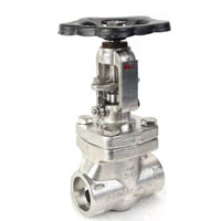 Stainless Steel 321 Gate Valves