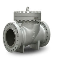 Super Duplex Steel UNS S32950 Check Valves